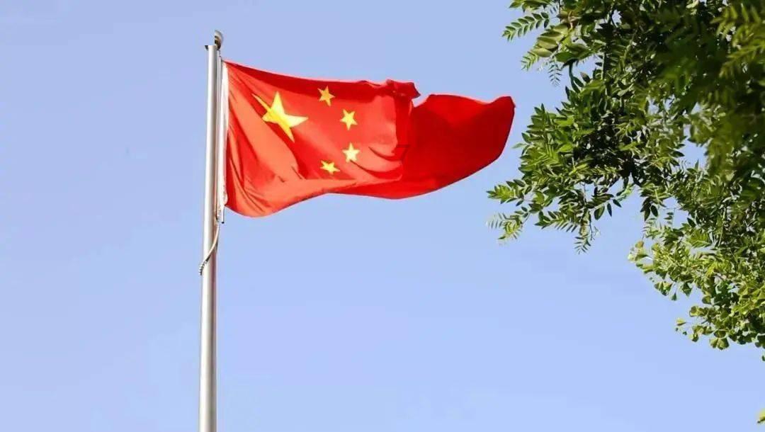 如何评价潘粤明和陈数主演的悬疑剧《消失的十一层》？