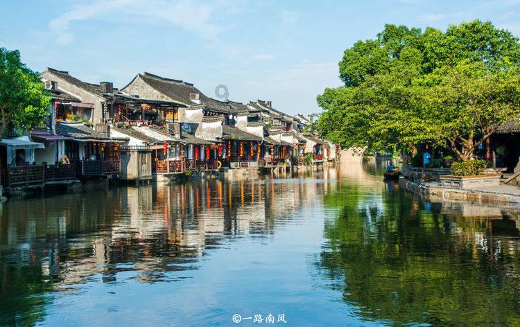 植物大战僵尸17
